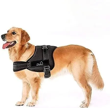 8Lifepul No Pull Dog Vest khai thác