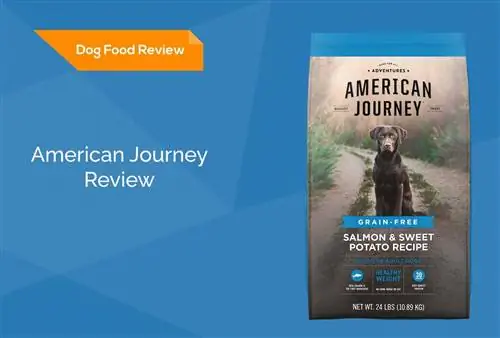 American Journey Dog Food მიმოხილვა 2023: გახსენებები, დადებითი და უარყოფითი მხარეები