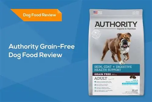 Authority Grain-Free Dog Food Review 2023: Rückrufe, Vorteile & Nachteile