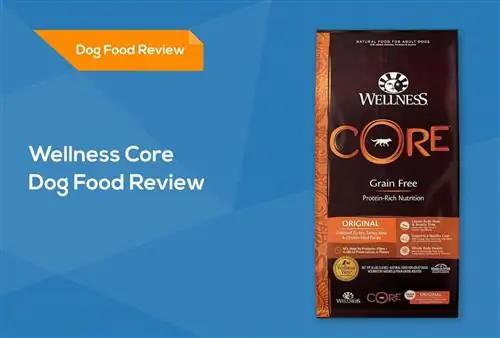 Преглед на храните за кучета Wellness Core 2023: изземвания, плюсове & минуси