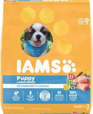 Iams ProActive He alth ухаалаг гөлөг том үүлдрийн хуурай нохойн тэжээл