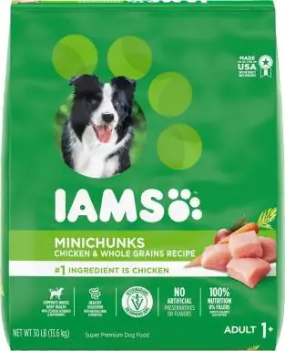 Iams Насанд хүрэгчдийн MiniChunks жижиг Kibble өндөр уурагтай хуурай нохойн хоол