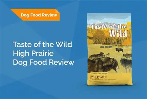 Taste of the Wild High Prairie Dog Food Review 2023: Tilbakekallinger, fordeler og ulemper