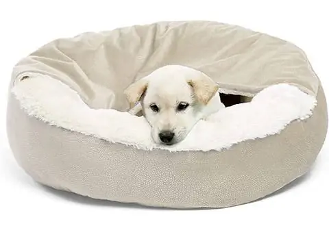 Peswety Dog Bed