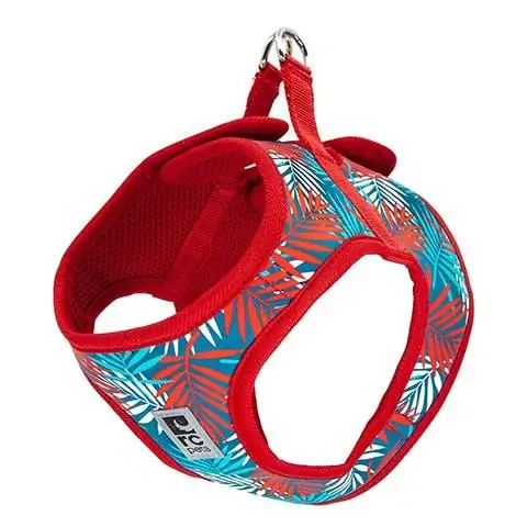 RC Pet Products Step in Cirque Dog Harness