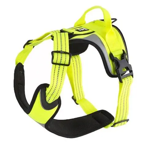 Parzmore Hurtta Active Dazzle Dog