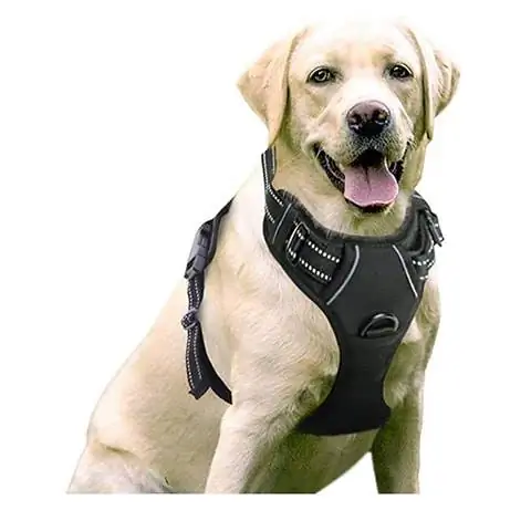 Rabbitgoo Dog Harness