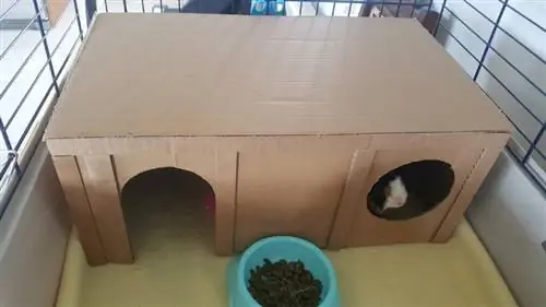 DIY Guinea Pig House1