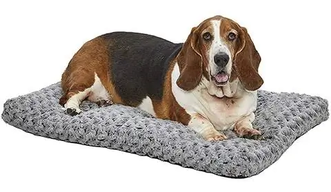 Midwest Homes for Pets Plush Dog Bed