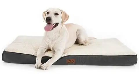 Bedsure Dog Bed