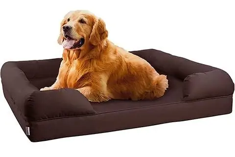 Petlo Orthopedic Pet Sofa Bed