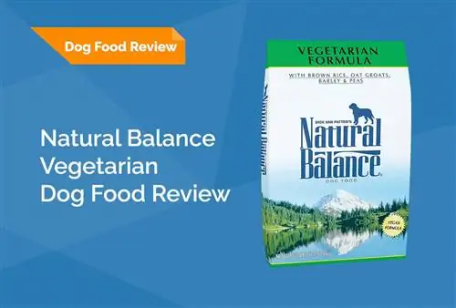 Examen des aliments végétariens pour chiens Natural Balance 2023: rappels, avantages & inconvénients