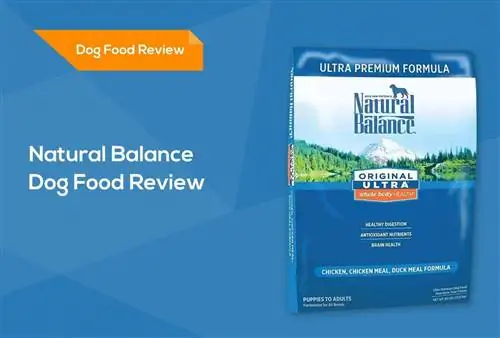 Natural Balance Dog Food Review 2023: การเรียกคืน ข้อดี & ข้อเสีย