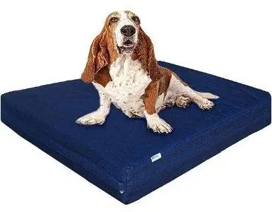 Dogbed4less Dog txaj