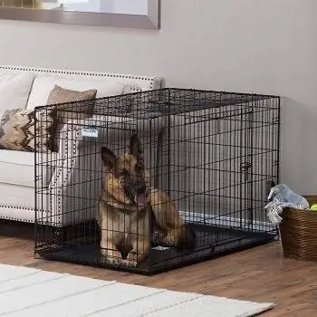 10 Wire DogCrate ที่ดีที่สุดในปี 2023 – รีวิว & ตัวเลือกยอดนิยม