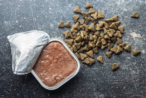 Nat- en droogvoer voor huisdieren. Katten- of hondenpastei op oude tafel. Bovenaanzicht