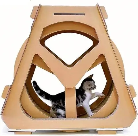 Cat Waterwheel και πικάπ