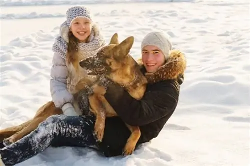 Adolescenți veseli cu un animal de companie minunat ciobanesc german