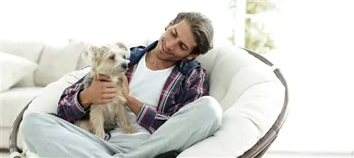 homme câlinant un chien