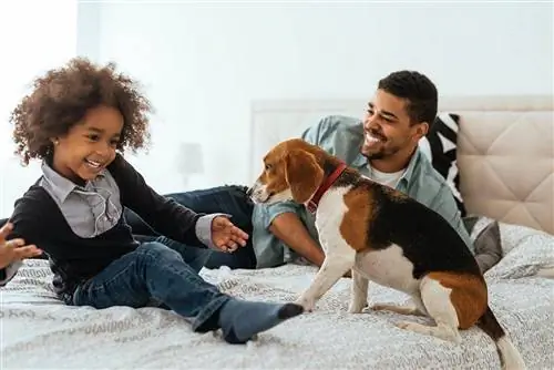 homme présentant un chien à un enfant