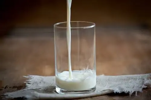 helle melk i et glass