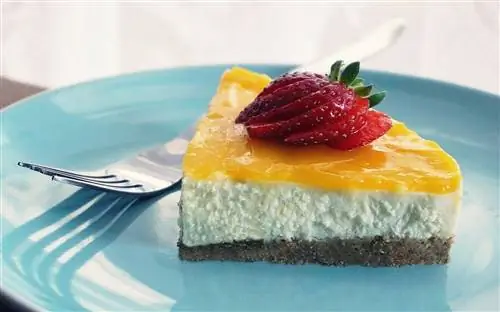 Kunnen katten cheesecake eten? Wat je moet weten