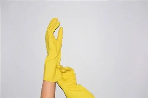 5 Mahalagang Dahilan para LAGING Magsuot ng Aquarium Gloves