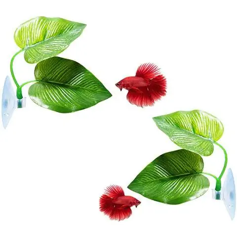 CousDUoBe Betta Fish Leaf Pad