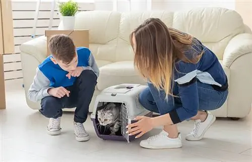 Une mère et son petit fils lancent leur beau chat gris Scottish Fold dans leur nouvel appartement