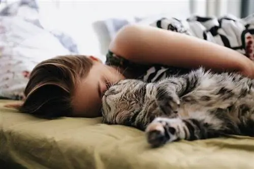 Mengapa Kucing Saya Hanya Tidur Dengan Saya? 5 Kemungkinan Alasan