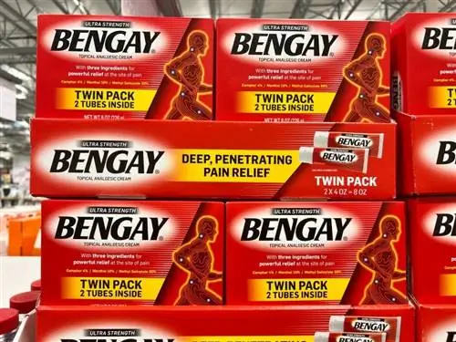 لماذا يحب كات كات Icy Hot & Bengay؟ 3 أسباب (شرح سلوك القط)