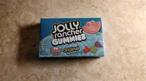 Els gossos poden menjar jolly ranchers? Salut aprovada pel veterinari & Guia de seguretat