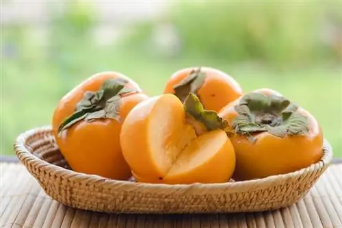 Kan katte persimmons eet? Hier is wat jy moet weet