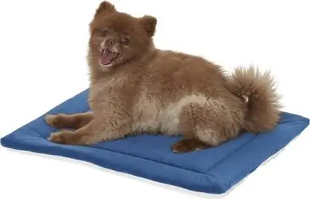 Frisco Self Warming Pet Pad – Terbaik Keseluruhan