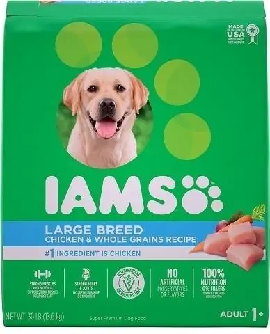 Iams प्रोएक्टिव हेल्थ वयस्क बड़ी नस्ल का सूखा कुत्ता खाना