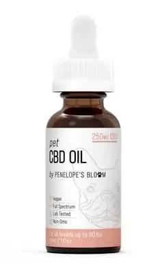 Oli CBD de PenelopesBloom