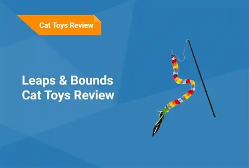 Leaps & Bounds Cat Toys Review 2023 – UKK, plussat, miinukset & Tuomio