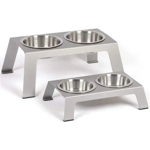 PetFusion Elevated Dog Bowls