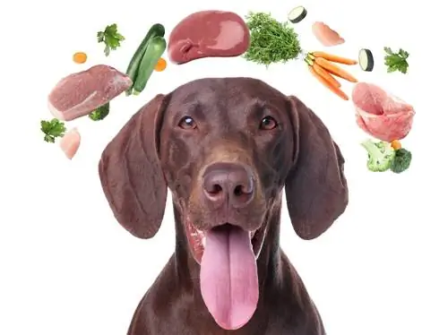 Puas yog Dogs Carnivores lossis Omnivores? Canine Nutrition Needs Piav Qhia