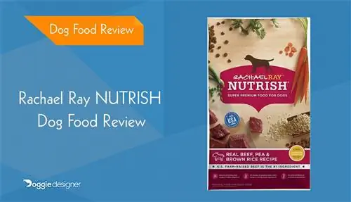 Rachael Ray Nutrish Dog Food მიმოხილვა 2023: იხსენებს, დადებითი & უარყოფითი მხარეები