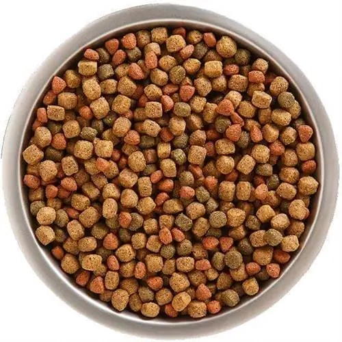 Rachael Ray Sample rachael ray dog food