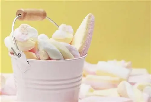 o găleată de marshmallows