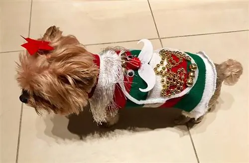 DIY UGLY CHRISTMAS SWEATER RAU DUA