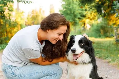 een vrouw die buiten met border collie speelt