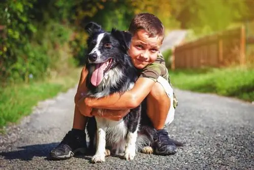 Jonge jongen die een border collie koestert