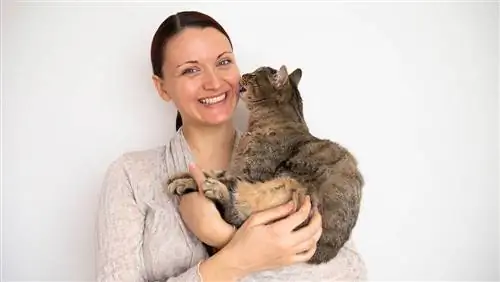 gato lamiendo oreja de mujer