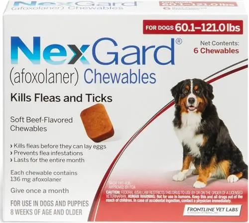 NexGard مضغ للكلاب