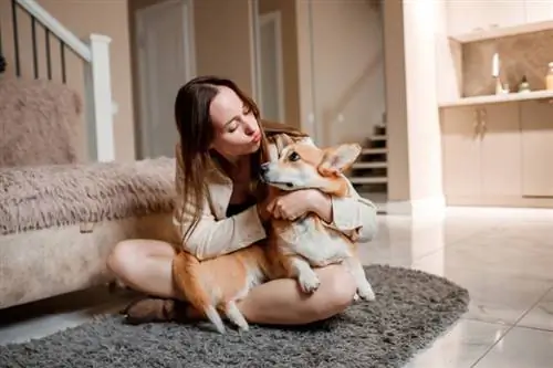 meisie speel met corgi hond by die huis