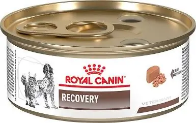 Obnova veterinární diety Royal Canin