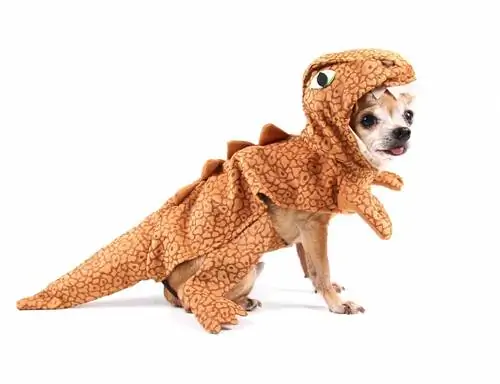 chihuahua i en t. rex kostume